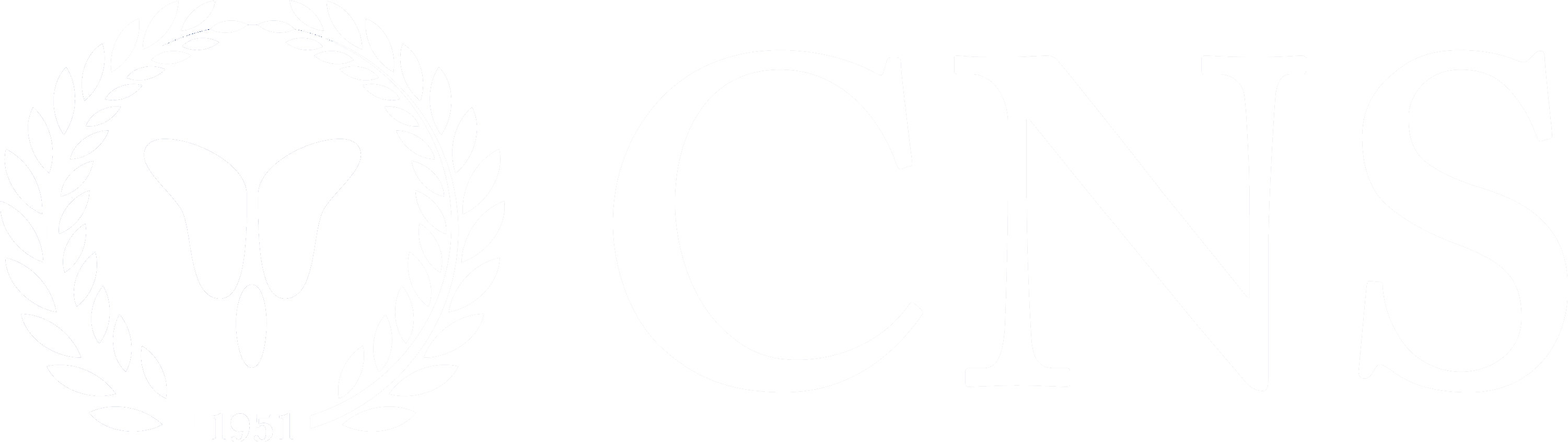 CNS Logo RGB Primary Positive white