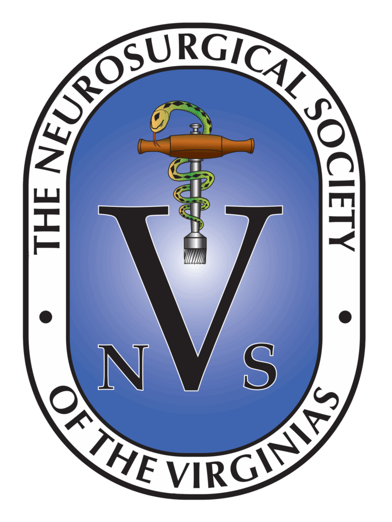 NSV+Final+Logo